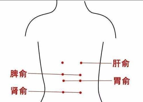 脾俞穴.png